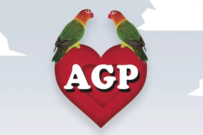 Contratar a AGAPORNIS Contacto al: 011 5452-1766